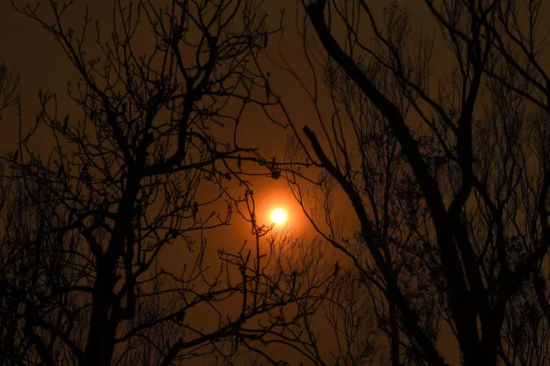 Australia, lovită de cele mai mari incendii de vegetație din istoria sa