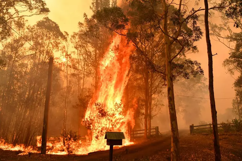 Australia, lovită de cele mai mari incendii de vegetație din istoria sa