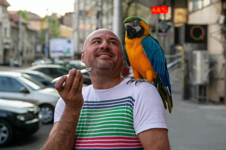 Dorian si papagalul Miayko (4)