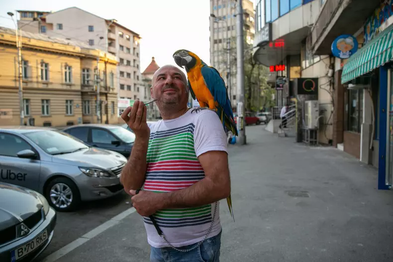 Dorian si papagalul Miayko (5)