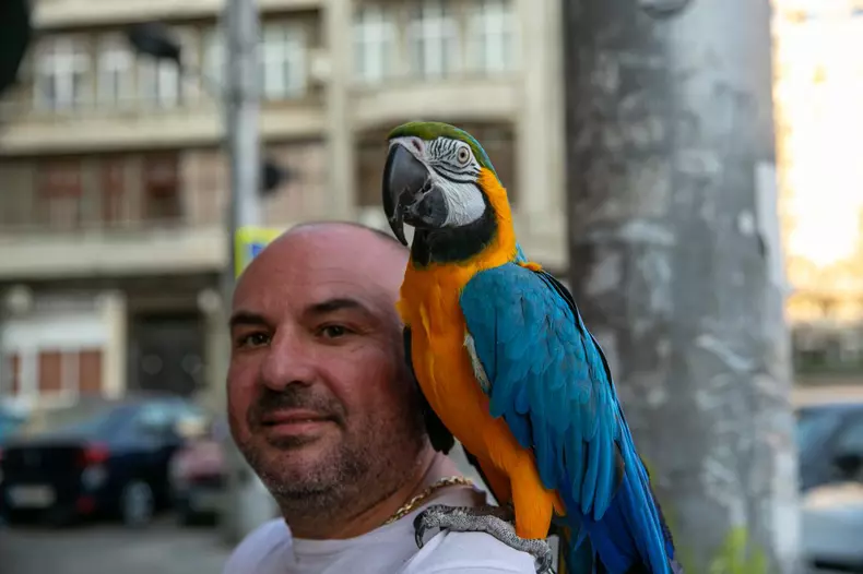 Dorian si papagalul Miayko (7)