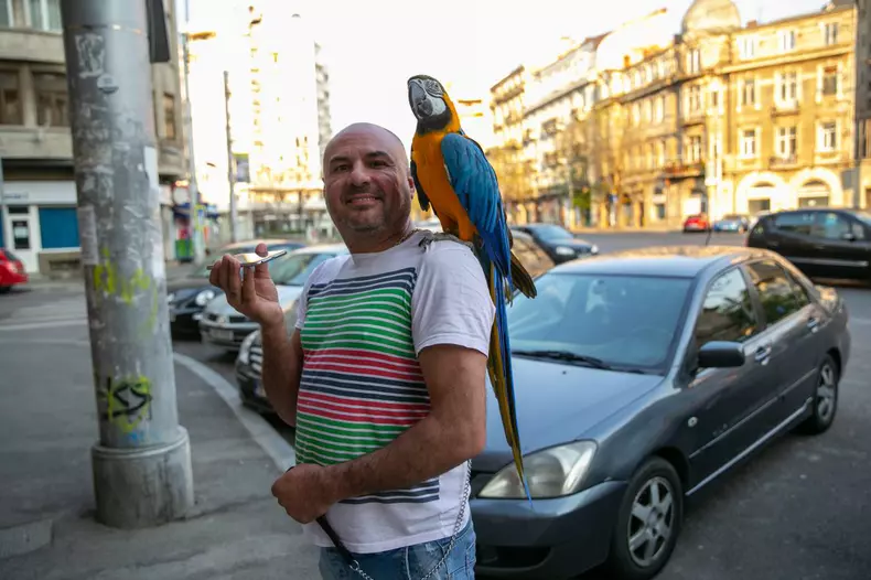 Dorian si papagalul Miayko (8)