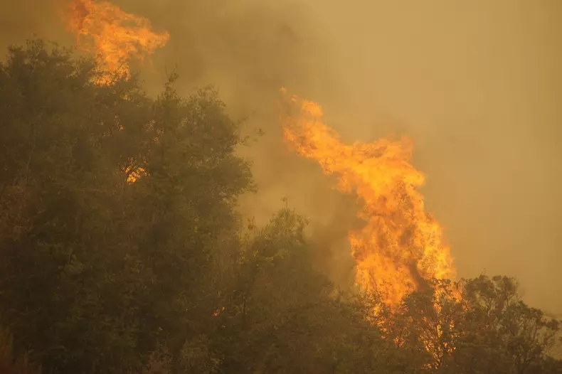 Incendiile din Statele Unite Ale Americii. Foto: Hepta