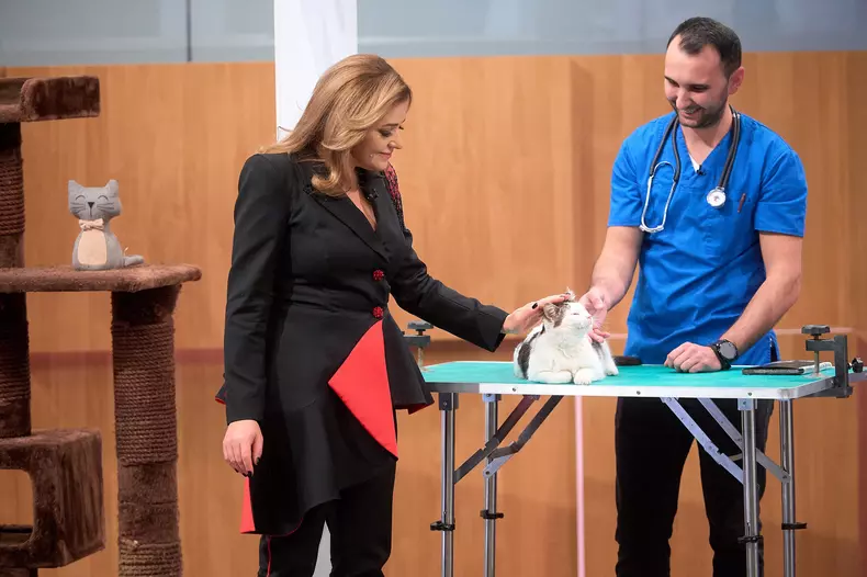 cristina-batlan-cat-shop-imperiul-leilor-1