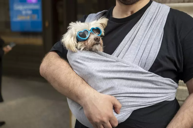 Solar Eclipse 2024 in New York City, USA - 08 Apr 2024