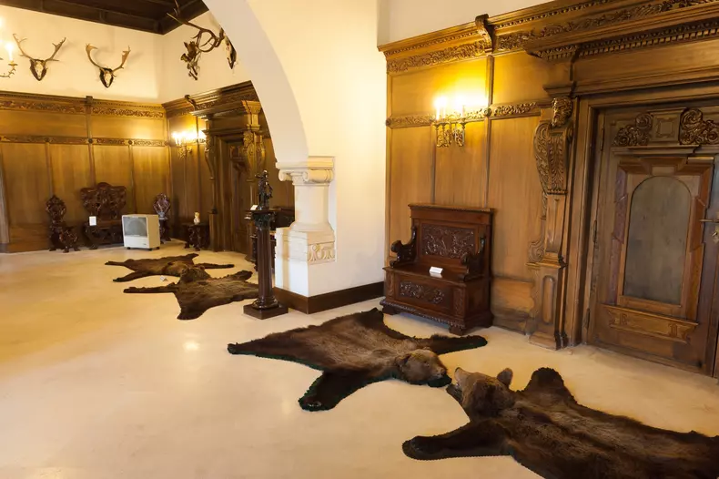 salonul-de-vanatoare-1