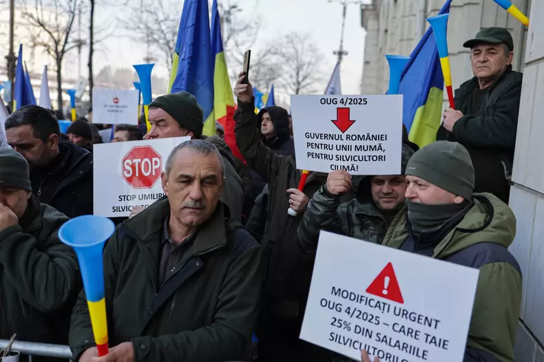 WhatsApp Image 2025-02-26 at 11.41.31 (1)