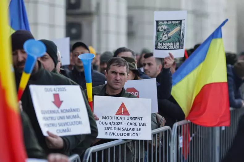 WhatsApp Image 2025-02-26 at 11.41.34 (1)