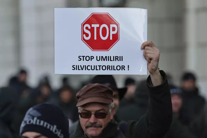 WhatsApp Image 2025-02-26 at 11.41.36 (1)