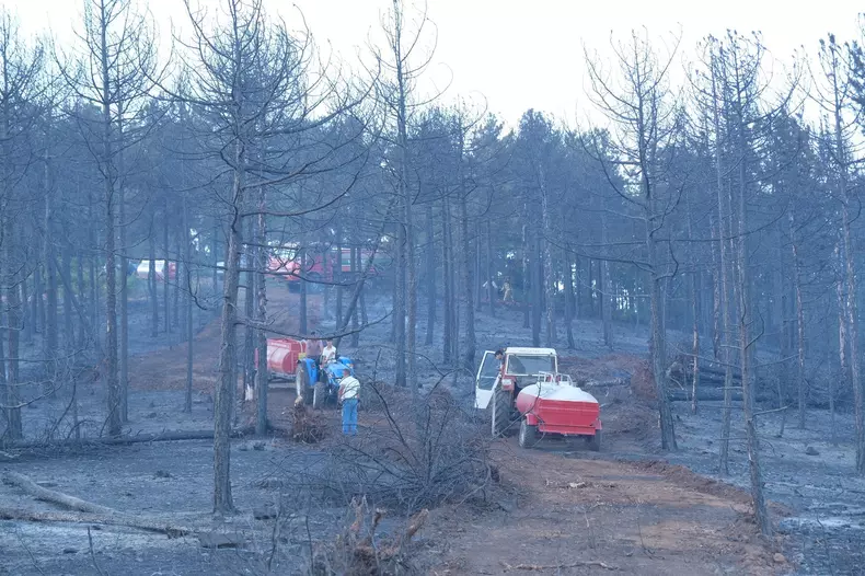 profimedia-1025941562