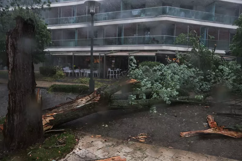 Vântul puternic a doborât copaci în toată țara. Foto Blickk