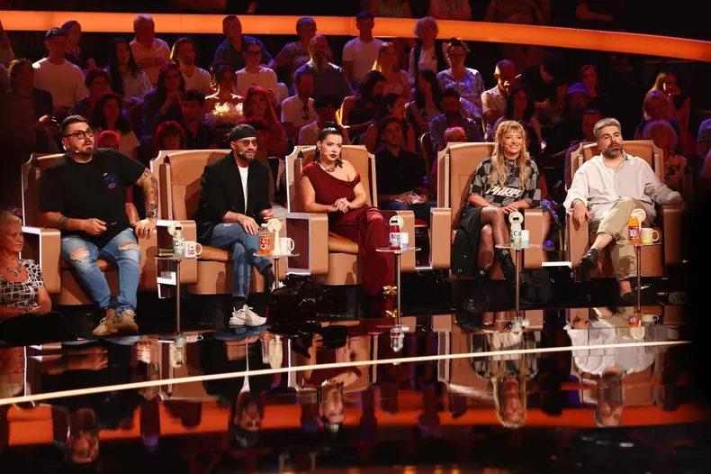 cosmin nedelcu micutzu anca dinicu mihai bendeac delia matache maurice munteanu juriu the ticket antena 1