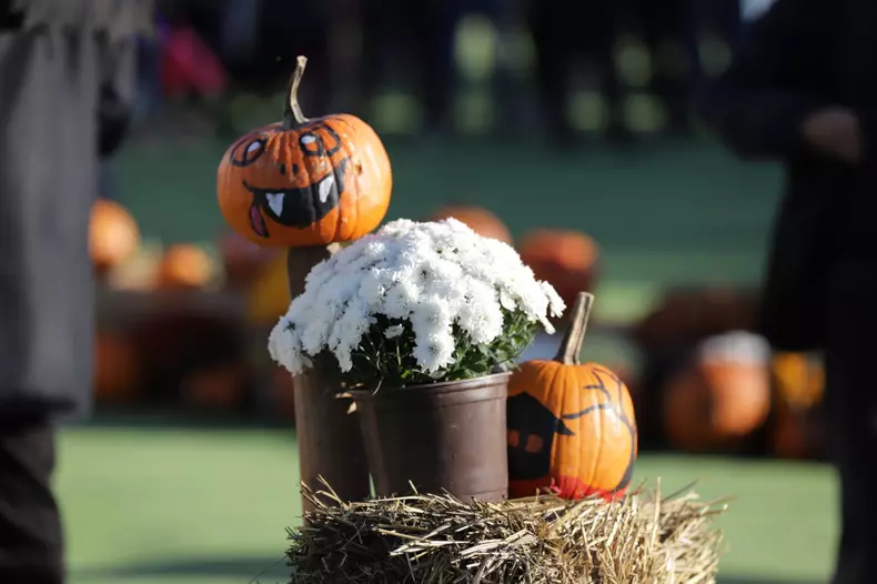 West Side Hallo Fest