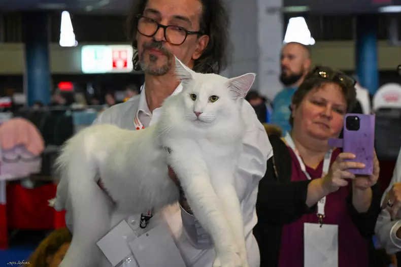 Wild Forests Prosecco