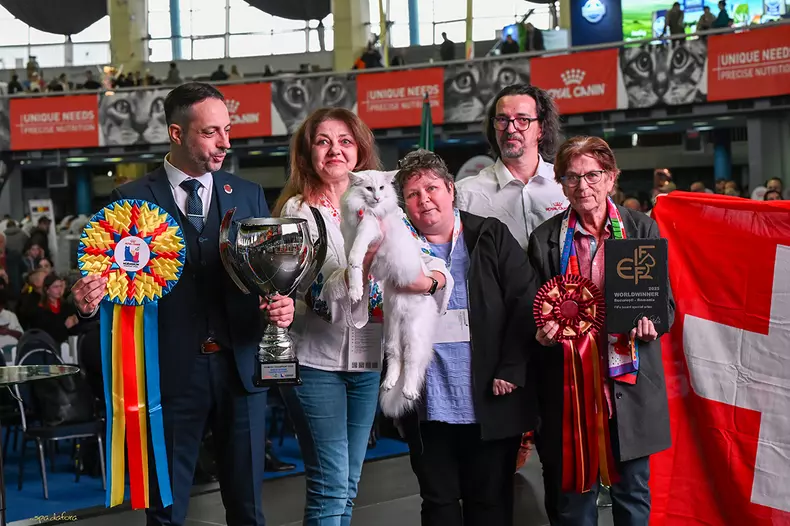 Wild Forests Quasar1 (1)