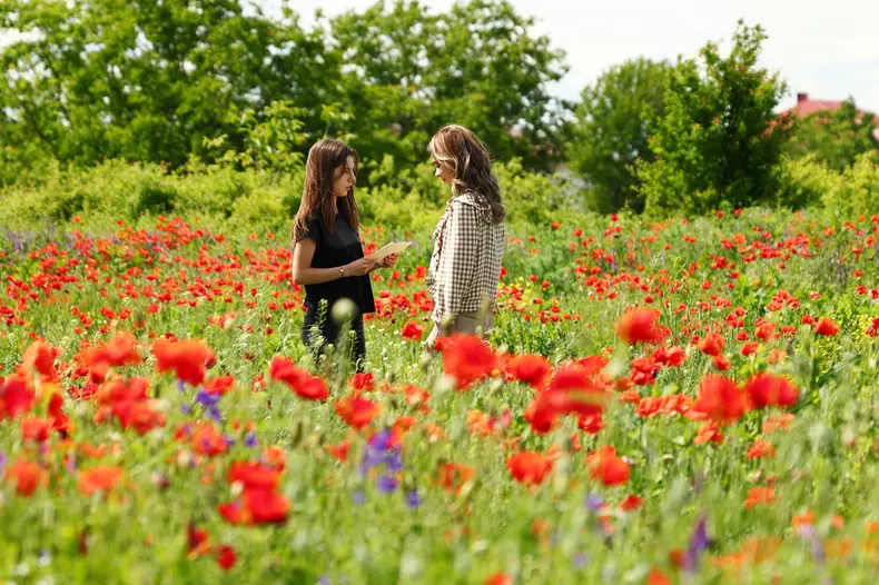 Destine cu Parfum de Lavandă 4