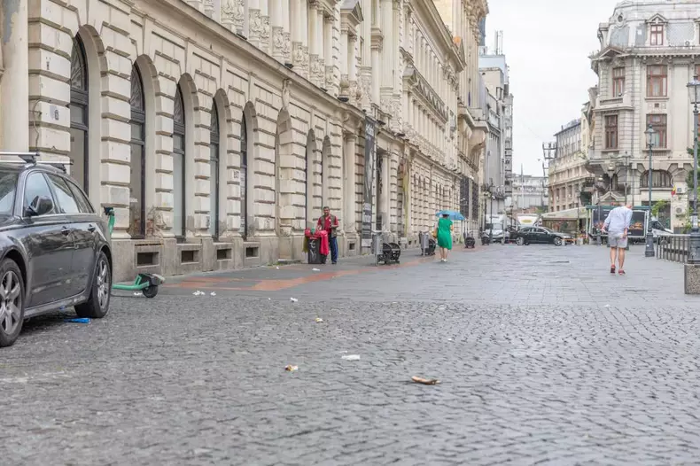 De ce sunt mulți șobolani în București. Primăria Capitalei a făcut un apel către locuitori pentru ca deratizarea să funcționeze-2
