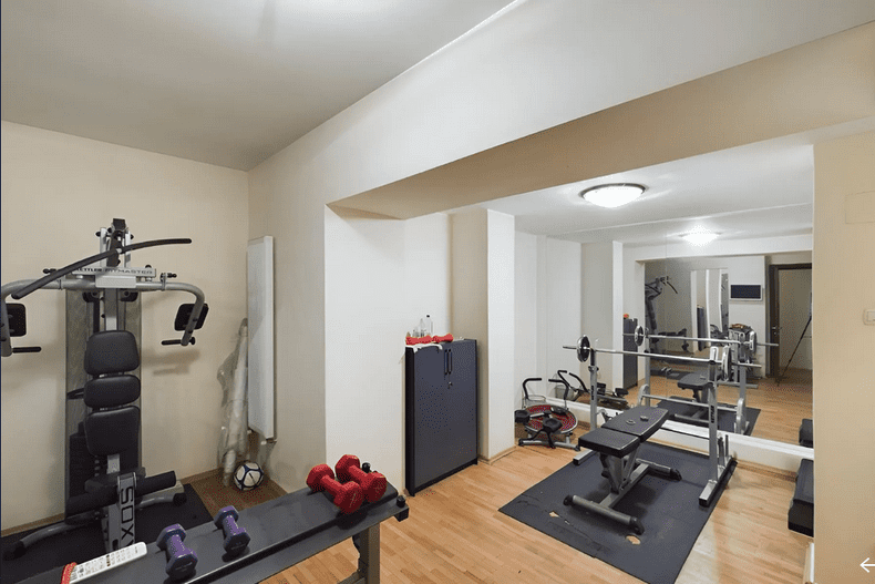 vila dacia bucuresti (21)