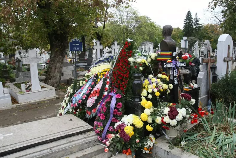 dolanescu-10.jpg