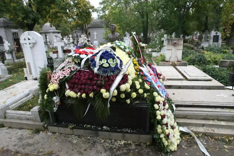 dolanescu-5.jpg