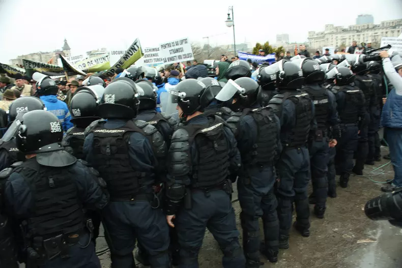 12499362_10205772779865193_1882799483_o