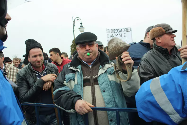 12887493_10205772779905194_213820190_o