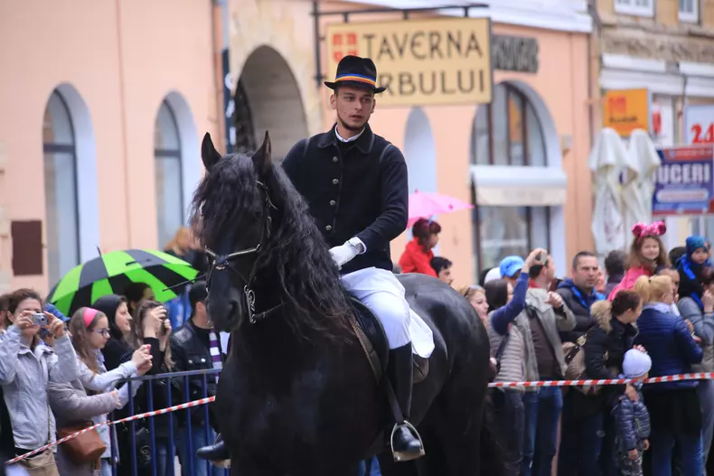 20160508103751_IMG_0450