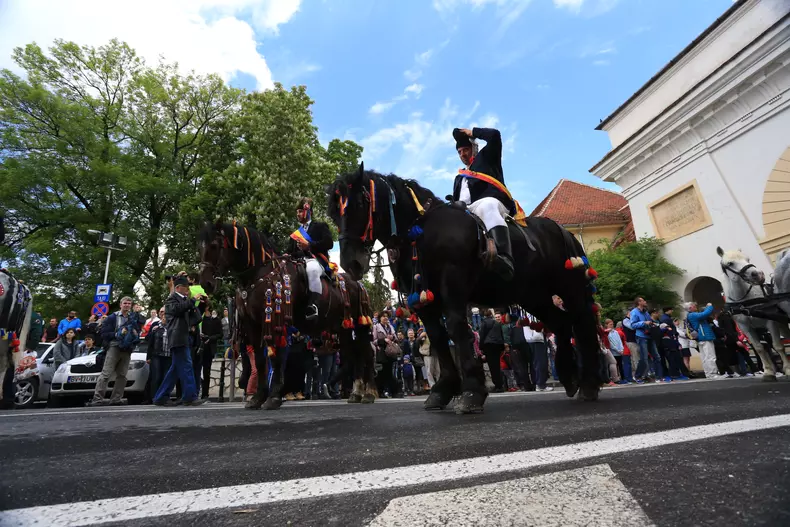 20160508112009_IMG_0600