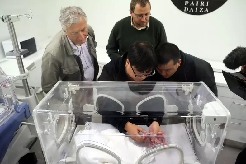 Baby Giant Panda Born At Mons Zoological Park