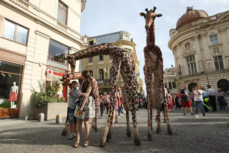 teatru bucuresti (7)