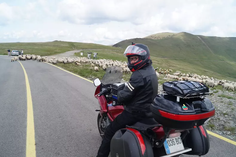 transalpina