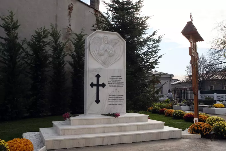 un an de la colectiv (1)