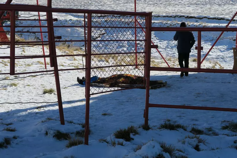 mort telescaun valea prahovei (3)