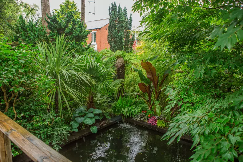 Un britanic și-a transformat grădina într-un paradis tropical