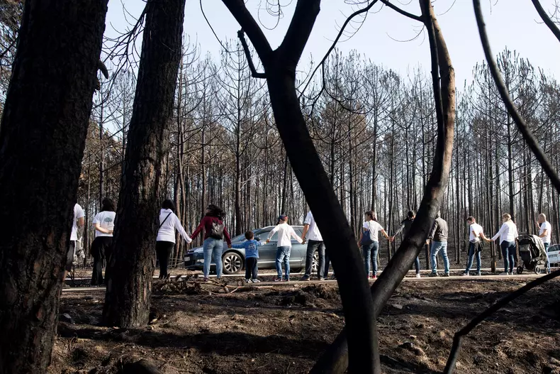 Proteste în Portugalia în urma incendiilor devastatoare