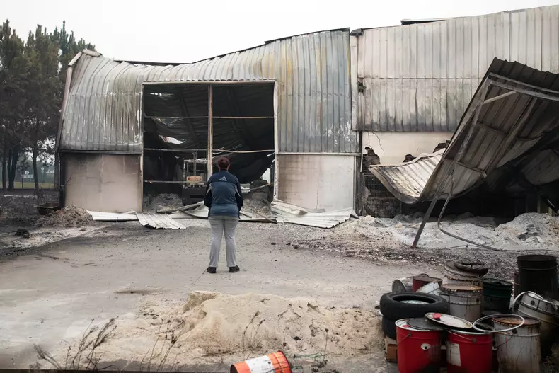 Incendii in Portugalia