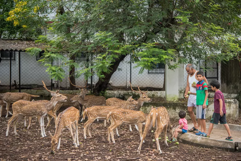 Prakash Amte a salvat peste 100 de animale sălbatice, având un sanctuar
