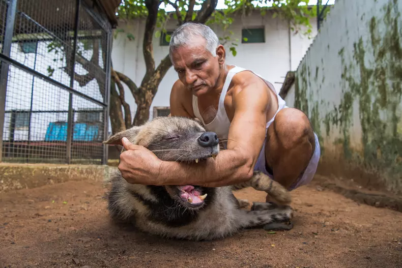 Prakash Amte a salvat peste 100 de animale sălbatice, având un sanctuar