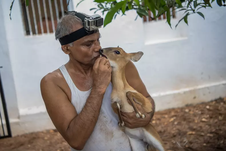 Prakash Amte a salvat peste 100 de animale sălbatice, având un sanctuar