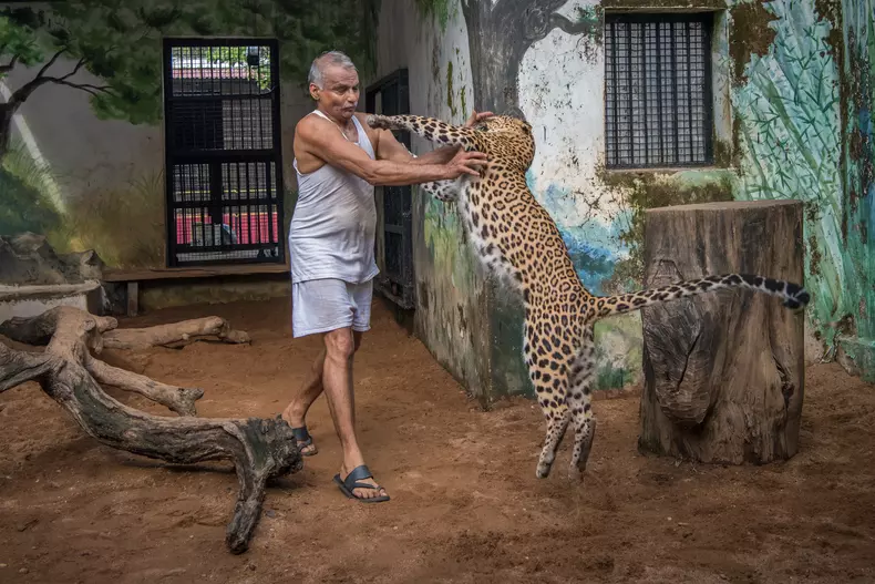 Prakash Amte a salvat peste 100 de animale sălbatice, având un sanctuar