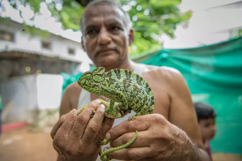 Prakash Amte a salvat peste 100 de animale sălbatice, având un sanctuar
