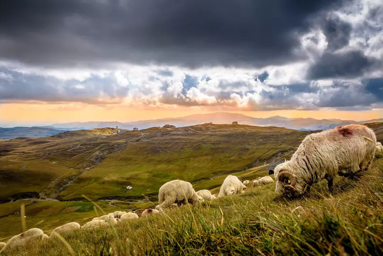 love is all we need expozitie 12