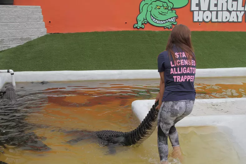 Gabby Scampone, îmblănzitoarea de aligatori din Florida