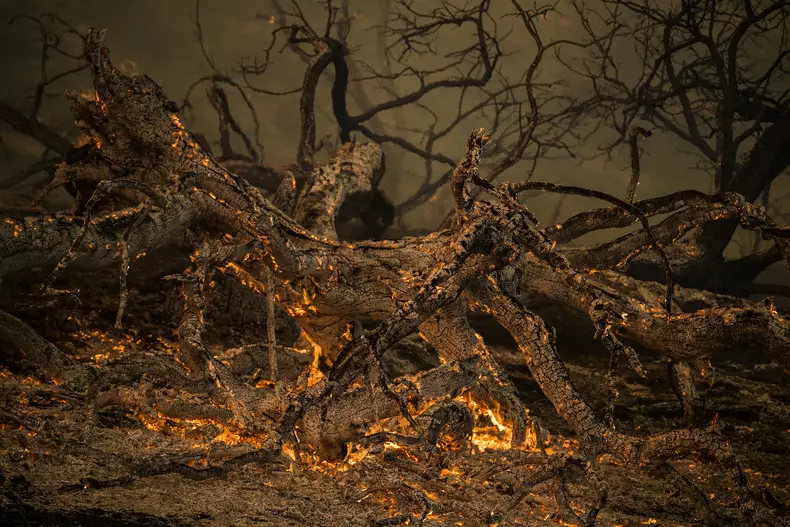 Incendiile continuă să facă ravagii în California