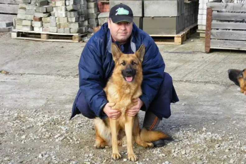 Medicul veterinar care tratează gratis câinii abandonați pe stradă în Bistrița (1)