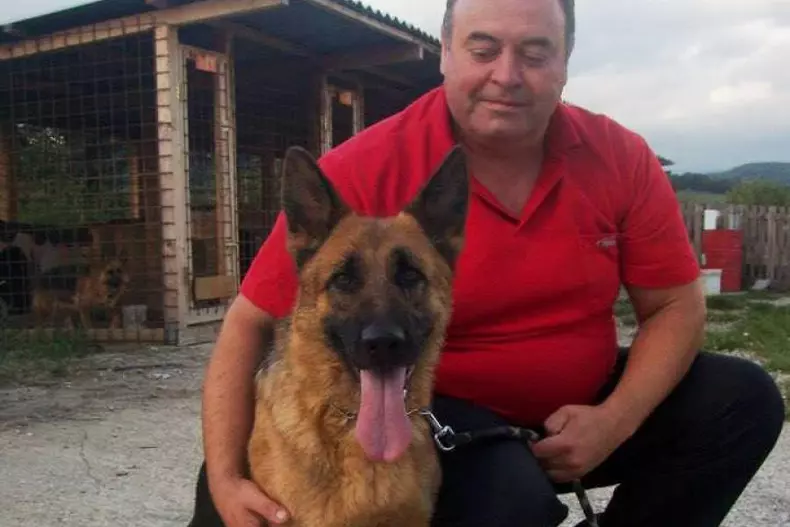 Medicul veterinar care tratează gratis câinii abandonați pe stradă în Bistrița (3)