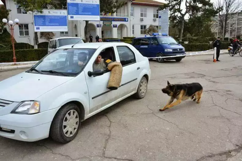 mabanu ijj constanta (11)