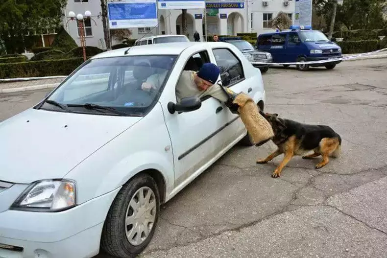 mabanu ijj constanta (12)