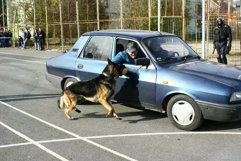 mabanu ijj constanta (6)