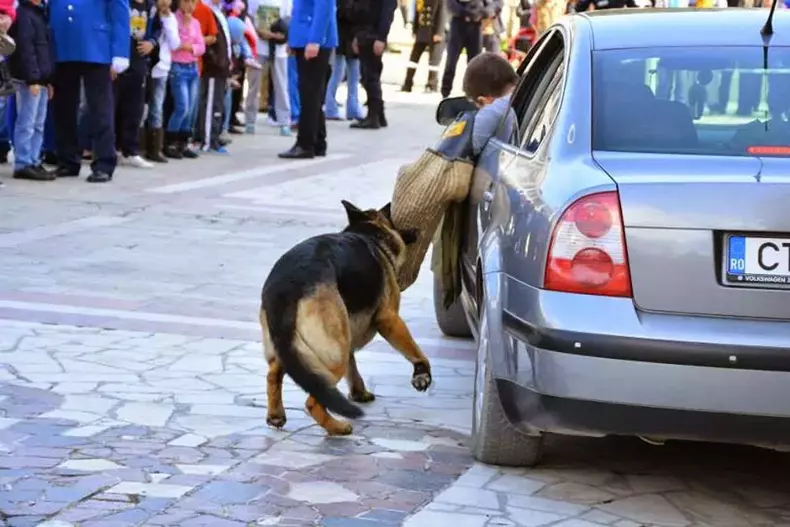mabanu ijj constanta (8)